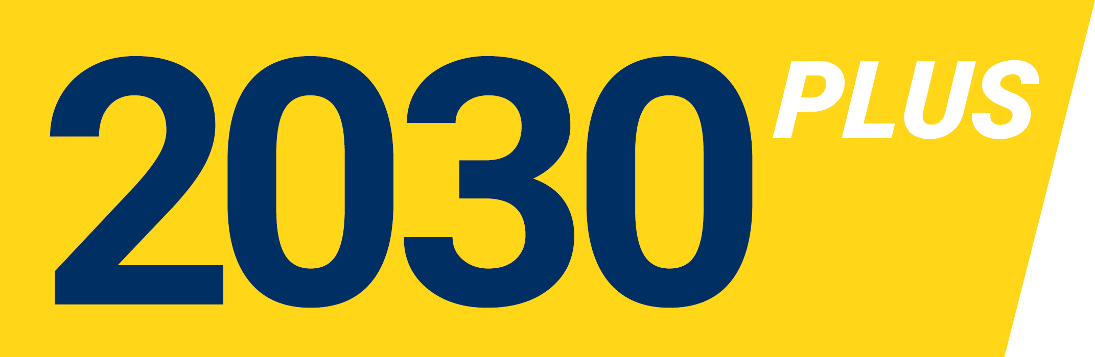 2030plus-nefinal-logo-(1).png